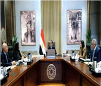 رئيس الوزراء يتابع الإجراءات الخاصة بتنفيذ التوجيهات الرئاسية بطرح وحدات سكنية بالإيجار للمواطنين