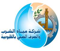 «مياه القليوبية» تكشف حقيقة منشورات متداولة بشأن تلوث المياه ببعض المناطق