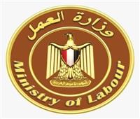 «العمل» تُسلم 27 عقد توظيف بالأردن للشباب ببني سويف
