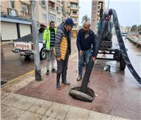رئيس صرف الإسكندرية يتابع ميدانيًا شفط مياه الأمطار بمنطقة العجمي