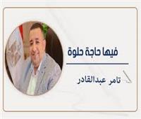     مصر تسقط رهانات الخارج