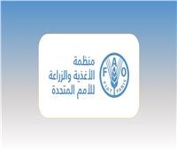 «الفاو»: ارتفاع أسعار الغذاء العالمية في مارس بسبب حرب إيران