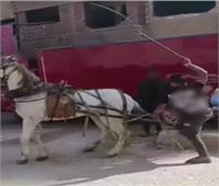 ضبط شخص تعدى على حصان بعربة «كارو» بالقليوبية بعد تداول فيديو 