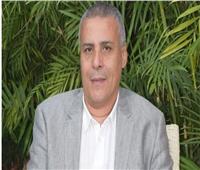 عماد قناوي: دعم الاستثمار المحلي هو نقطة الانطلاق الحقيقية لجذب الاستثمار الأجنبي