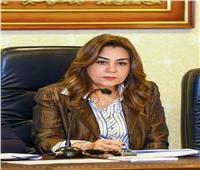 لجان مشتركة بين الحكومة والنواب لمناقشة مشروع قانون الإدارة المحلية