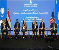 وزير البترول: المحفزات أعادت تنشيط استثمارات البحث والإنتاج للغاز والبترول