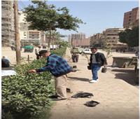 زراعة 210 شتلات متنوعة بمركزي مطاي وبني مزار بالمنيا