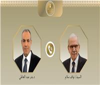 وزير الخارجية يؤكد رفض مصر الكامل المساس بسيادة لبنان ووحدة وسلامة أراضيه
