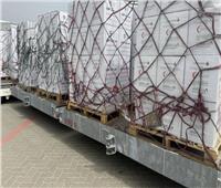 الإمارات تسير «جسر حميد الجوي» لإغاثة غزة بـ100 طن من المساعدات الغذائية
