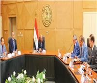 وزير الكهرباء: توسيع نطاق التعاون مع روسيا في مجالات الطاقة النووية 