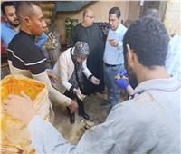 ضبط 700 كيلو فسيخ وأسماك مملحة غير صالحة خلال حملات مكثفة بأسيوط