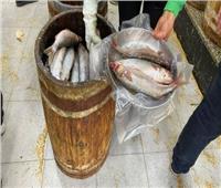 قلعة الفسيخ في مصر.. نبروه مركز رئيسي لإنتاج أكلة شم النسيم 