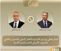 وزير الخارجية يبحث مع المبعوث الأمريكي الخاص للشرق الأوسط آخر مستجدات الوضع الإقليمي   