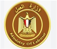 دون اللجوء للقضاء.."العمل" تُعيد حقوق العمال المالية بالقاهرة والقليوبية 