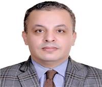 تعيين محمد نصر الدين الجبالي مديرًا للمركز القومي للترجمة لدعم الحركة الثقافية