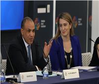 وزير الخارجية يستعرض محددات الموقف المصرى من الأزمات الاقليمية 