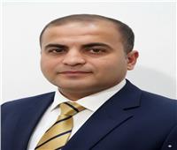 قرار جمهوري بتعيين الدكتور محمود فرج عميداً لكلية التربية الفنية بجامعة المنيا