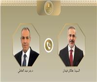 مصر وتركيا يؤكدان على ضرورة تضافر الجهود لاستئناف المفاوضات بين واشنطن وايران