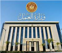 التدريب والتفتيش وتسوية النزاعات.. أبرز حصاد "العمل" بالمحافظات