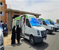 الكشف على 219 مواطنا بقافلة قرية المهدية ورفح الجديدة ضمن «حياة كريمة»
