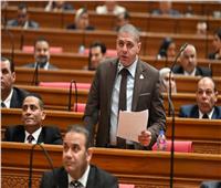 برلماني: قانون حماية المنافسة ركيزة أساسية لدعم الاقتصاد المصري
