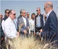 محافظ بني سويف يفتتح موسم حصاد القمح ويؤكد على جاهزية الشون والصوامع