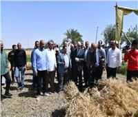 محافظ الفيوم يفتتح موسم حصاد القمح في أحد الحقول الزراعية بقصر رشوان