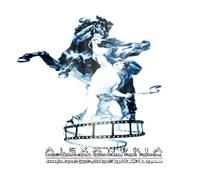 مهرجان الإسكندرية للفيلم القصير يحتفى بالإبداع المصرى
