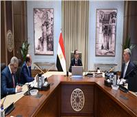 «مدبولي» يتابع مع وزيري المالية والبترول عددًا من ملفات العمل المشترك