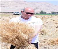 رئيس جامعة سوهاج يشارك في حصاد القمح.. ويؤكد زيادة الإنتاج وجودة المحصول