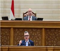 رستم: تحسين الوضع الاقتصادي وجودة حياة المواطن من محور أهداف خطة التنمية
