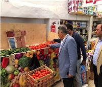 محافظ الدقهلية يتفقد المعرض الدائم للسلع الغذائية بحي غرب المنصورة