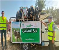 تضامن أسيوط تعتمد خطة توزيع أضاحي العيد بقرى «حياة كريمة»