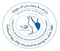 «تنمية البحيرات»: 85 طنًا من الأسماك المتنوعة حصاد برسيق والزاوية