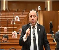 برلماني: رؤية الرئيس السيسي في قمة نيقوسيا تؤكد ثوابت مصر لحماية أمن الخليج