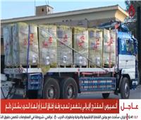 مصر تطلق القافلة 183 لإغاثة مرافق غزة الحيوية