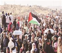 مصر تنتصر لـ«سلام القوة»