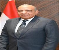 عصمت: دعم جهود إنشاء سوق إقليمية تنافسية وفعالة للكهرباء بدول إفريقيا
