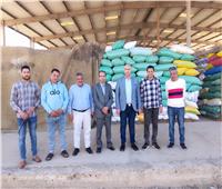 توريد أكثر من 28 ألف طن قمح بكفر الشيخ منذ بدء الموسم