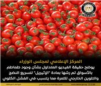 الوزراء: لا صحة للفيديو المتداول بشأن وجود طماطم مرشوشة بمادة «الإثيريل» في الأسواق