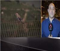 تفاصيل اجتماع استثنائي بين قائد الجيش اللبناني ورئيس لجنة مراقبة وقف إطلاق النار