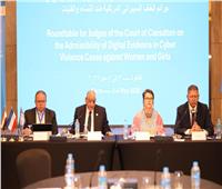 محكمة النقض تنظم ندوة حول جرائم العنف السيبراني المرتكبة ضد النساء