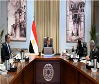 رئيس الوزراء: بناء قواعد بيانات محدثة تضمن وصول الدعم للفئات المستحقة بشفافية