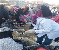 الخدمات البيطرية: تحصين 115 ألف طائر ضد الأمراض الوبائية بالشرقية