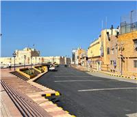 بأعلام فرنسا ومصر.. الإسكندرية تتزين لاستقبال السيسي وماكرون اليوم - صور
