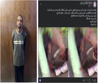 أمن الجيزة يضبط عاطلًا لارتكابه أفعالًا خادشة للحياء بإمبابة