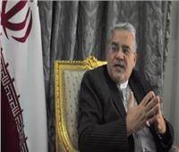 رئيس مكتب رعاية المصالح الإيرانية بالقاهرة: التعاون الدفاعي بين مصر والخليج حق سيادي