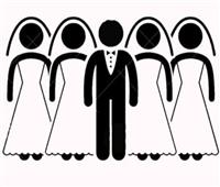 «مفاجأة» | القانون لا يشترط موافقة الزوجة الأولى على التعدد.. تفاصيل