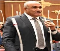 عضو بالشيوخ: افتتاح جامعة سنجور يجسد رؤية الرئيس لصناعة مستقبل قائم على التعليم الحديث