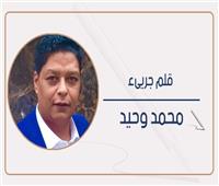 محمد وحيد يكتب: لغز عمره 14 عامًا في الجيزة 